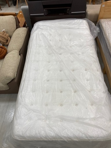 取りに来れる方限定！シングルベッドです！