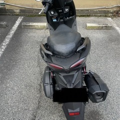 シグナスグリファス 大阪の画像