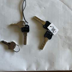 電動アシスト三輪車の画像