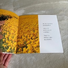 ⭐️無料⭐️ こどものせかい９の画像