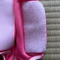 ペット 犬用 エリザベスウェア 女の子用 の画像