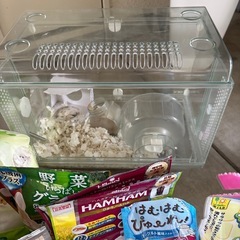 ハムスター飼育セットの画像