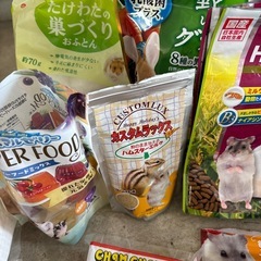 ハムスター飼育セットの画像