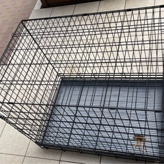 ケージの画像