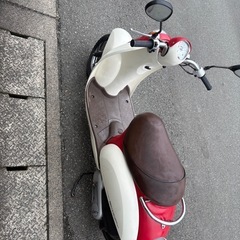 AF55 クレアスクーピー　 ホンダ　4サイクルの画像