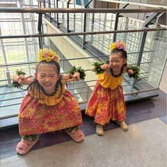 赤池こどもフラダンス募集の画像
