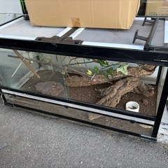 爬虫類ケージ  水槽 90cmの画像