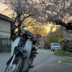 スーパーカブ50の画像