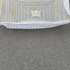 ベビーのカヤディズニーの画像