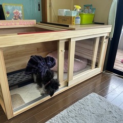 👛少しでも出費を抑えたいけど、こだわりたい方などにお知らせです🎶 - 手伝いたい/助けたい