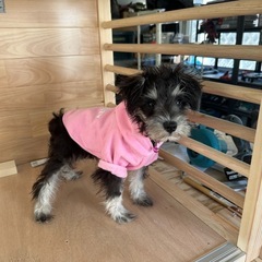 👛少しでも出費を抑えたいけど、こだわりたい方などにお知らせです🎶 − 福岡県