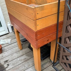 自作ベジトラグの画像