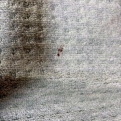 無料で差し上げます！
カーペット2枚の画像