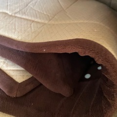 分厚い　フロア　マット　ラグ　絨毯の画像