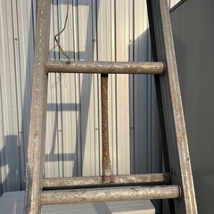 2段はしごの画像