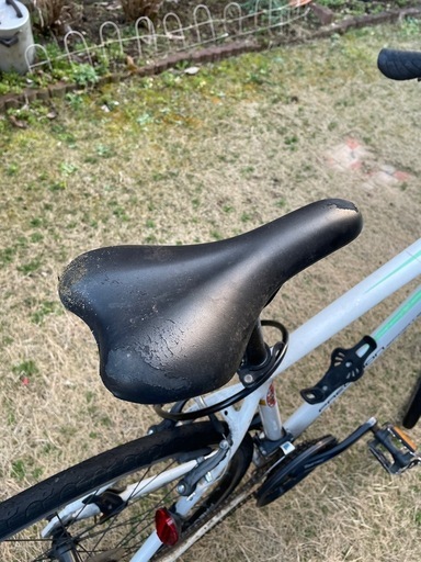 アサヒサイクル、プレシジョンスポーツ