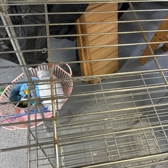 スチールラックの画像