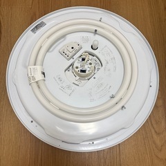 照明　天井の画像