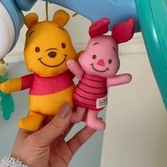 プーメリー　6wayジムの画像