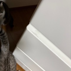 ニトリ 衣装ケース 5段の画像