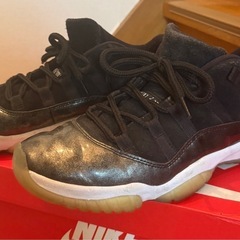 Nike Air Jordan 11 low レアカラー 27.5cm ナイキ　ジョーダンの画像