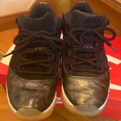 Nike Air Jordan 11 low レアカラー 27.5cm ナイキ　ジョーダンの画像