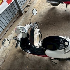 ホンダ ジョルノ GIORNO AF70 原付 2458km 原付 4スト 無料配送有 現状販売 現車確認必須❗️ バンガレージ神奈川  の画像