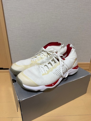 バドミントンシューズ  LI-NING