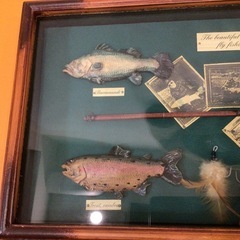 フライフィッシング 魚  壁掛け 額装 剥製風 インテリア オブジェの画像
