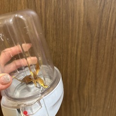 ミキサー　定価2万ほど　ミルの画像