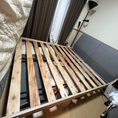クイーンベット　
フレームのみ　の画像