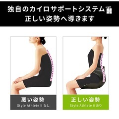 体幹サポートシート【スタイルアスリート2】の画像