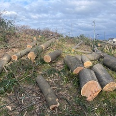 3/2（月）米子市内　2t運転手さん　又は伐採後の樹木と竹の搬出作業のお手伝いさん募集の画像