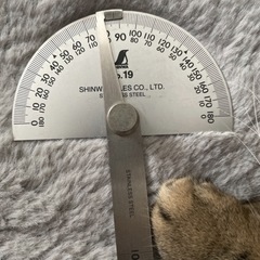 シンワ プロトラクター No.19 シルバー　測定工具の画像