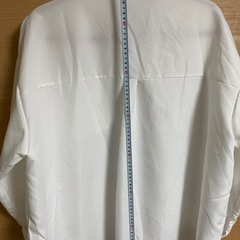 レディース ブラウス(フリーサイズ)の画像