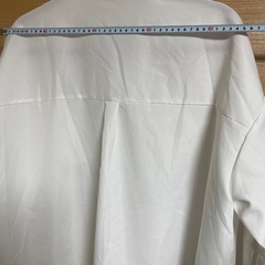 レディース ブラウス(フリーサイズ)の画像