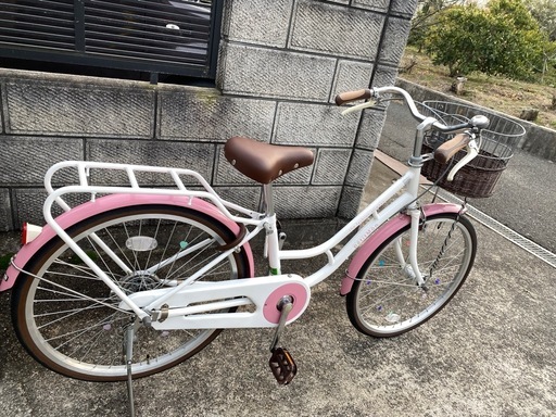 サカモトテクノ　　　　プチモン22インチ