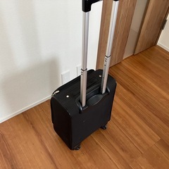 ACEキャリーバッグの画像