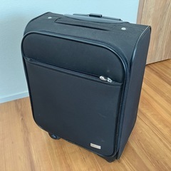 ACEキャリーバッグの画像