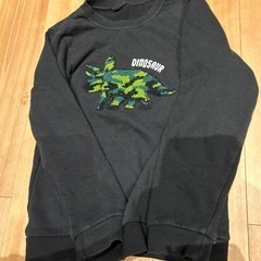 恐竜120キッズトレーナーの画像