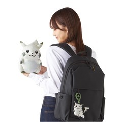 【希少品】ポケモン30周年記念ぬいぐるみセットの画像