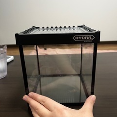 飼育ケースの画像