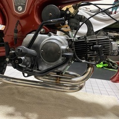 国産ダックス　ノーマルの画像