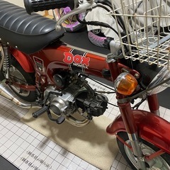 国産ダックス　ノーマルの画像