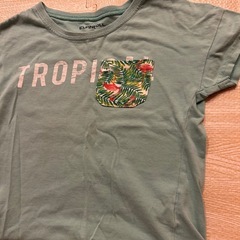 95夏服　半袖の画像