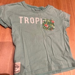 95夏服　半袖の画像