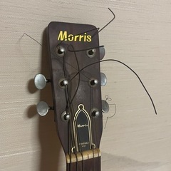 Morris F-15 ハカランダ仕様 日本製　の画像