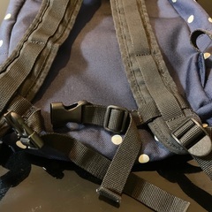 Leeリュックの画像