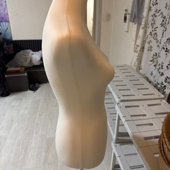 白くて軽くて可愛いトルソーの画像