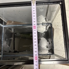 17Lの水槽(メダカもオマケで)の画像